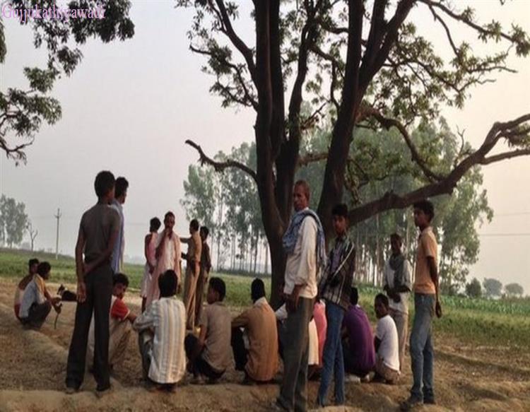 જેલમાં જવાથી આરોપી એટલો ડરી ગયો કે ઝાડ પર ચડી ગયો ,પછી પોલીસે કર્યું એવું કે..