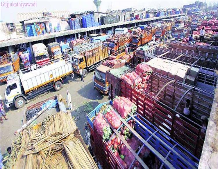  નવા કૃષિ કાયદાની આડઅસર, ગુજરાતની 15 APMCને તાળાં લાગ્યાં, 224માંથી 114 APMC બંધ થવાને આરે…