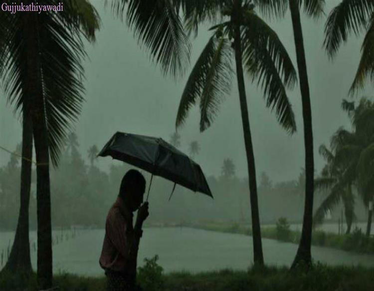દક્ષિણ ગુજરાતમાં ભારે વરસાદની આગાહી: 20 જિલ્લામાં ‘યલો’, 6 જિલ્લામાં ‘ઓરેન્જ’ એલર્ટ અપાયું
