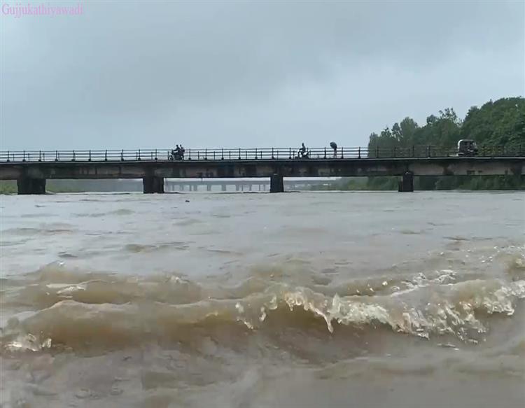 વલસાડ જિલ્લામાં બારેમેઘ ખાંગા, કપરાડામાં 7 ઇંચથી વધુ ખાબક્યો, મધુબન ડેમના 7 દરવાજા ખોલાયા
