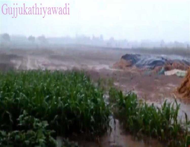  ગુજરાતમાં કમોસમી વરસાદની આગાહી, આ વિસ્તારમાં માવઠાની શક્યતા