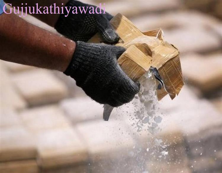  મોરબીના ઝિંઝુડામાંથી 600 કરોડનું ડ્રગસ પકડાયું, પાકિસ્તાની કનેક્શનનો ઘટસ્ફોટ