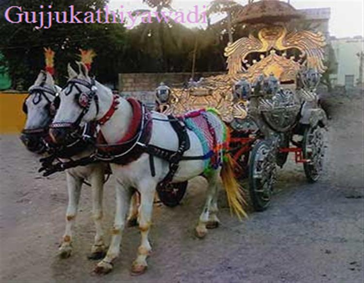  કોરોનાની ઘોડાઓ પર વિપરીત અસર, લગ્નની સિઝન શરૂ થતા વરરાજા મુંઝાયા