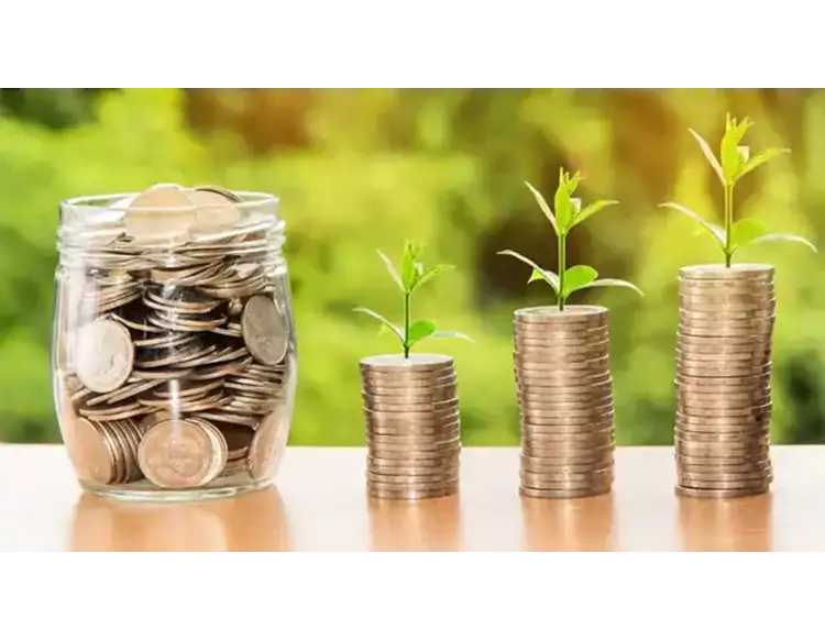 મની મેનેજમેન્ટ અને બચત : ધારો તો બધું જ શક્ય છે!