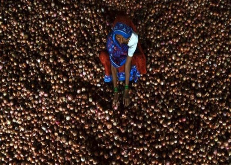 ડુંગળીમાં થયેલો ભાવ વધારો ભારતીય રાજનેતાઓને કેમ રડાવી રહ્યો છે?