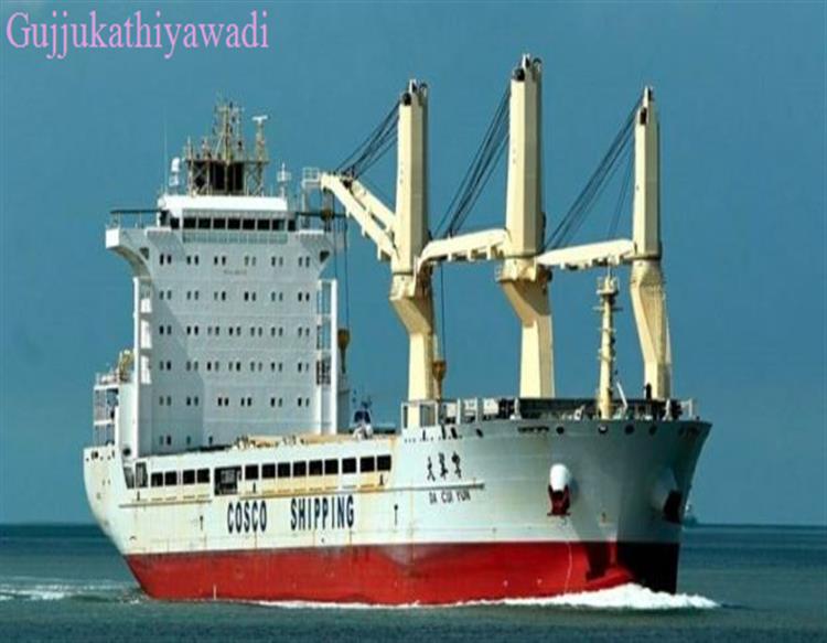 प्रतिबंधित सैन्य उपकरण पाक ले जा रहा था चीनी जहाज, भारत की आपत्ति पर मुकरा पेइचिंग