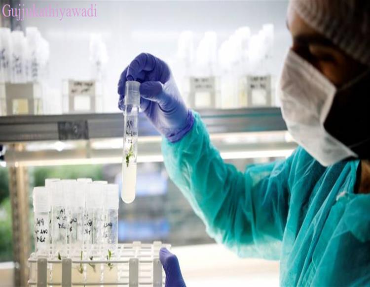 कोरोना वायरस के खिलाफ जगी उम्मीद की किरण, ऐंटी-पैरासाइट दवा ने लैब में वायरस को 48 घंटे में खत्म किया