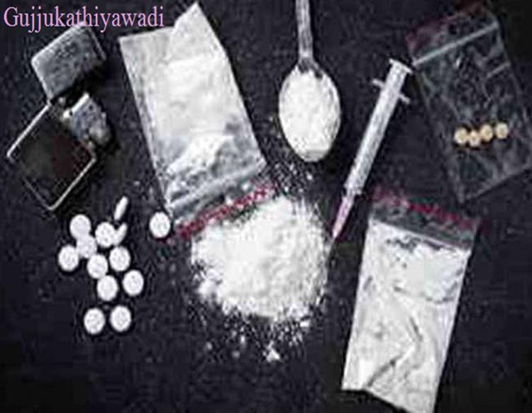  દરિયાઈ માર્ગે ગુજરાતમાં ડ્રગ્સ ઘુસાડવાનું ષડયંત્ર, દેવભૂમિ દ્વારકામાં પડકાયું 66 કિલો ડ્રગ્સ