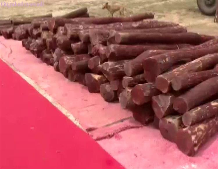  સુરતમાં પણ ‘પુષ્પા’!, રૂ. 25 લાખનું 570 કિલો રક્તચંદન પકડાયું