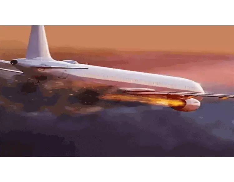  ચીનનું બોઇંગ 737 વિમાન ક્રેશ, 133 પેસેન્જર હતા સવાર