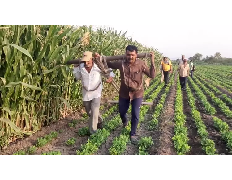  રાજકોટ જીલ્લાના ધોરાજીમાં ખેડૂતો ‘બળદ’ બન્યા, કારણ જાણી રહેશો દંગ