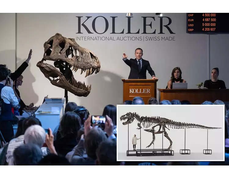 સાડા છ કરોડ વર્ષ જૂનું ડાઈનોસોરનું હાડપિંજર રૂ. 50 કરોડમાં વેચાયું