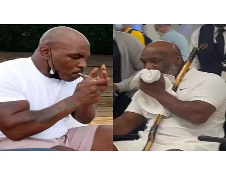 મહિનામાં ફૂંકી મારે છે 32 લાખનો ગાંજો, ટાયસન દુનિયાનો સૌથી ખૂંખાર બોક્સર