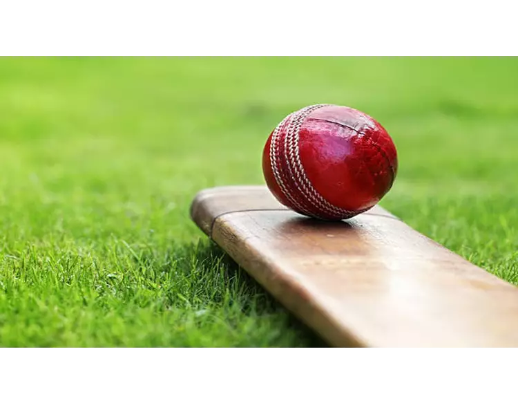ક્રિકેટના ઈતિહાસની સૌથી અનોખી મેચ, આખી ટીમને મળ્યું 'મેન ઓફ ધ મેચ"