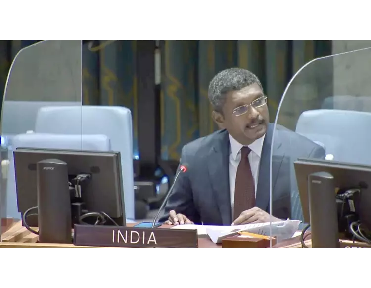 UNમાં પાકિસ્તાને લઘુમતીનો મુદ્દો ઉઠાવતા ભારતે બોલતી બંધ કરી દીધી