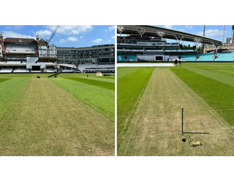 WTC: ટીમ ઈન્ડિયા માટે ખરાબ સમાચાર, ફાઈનલ પહેલા પીચ ફોટો સામે આવ્યો