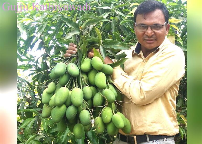 नासिक के किसान ने इजरायली तकनीक से उगाए आम, बताया क्यों उत्पादन में सबसे आगे है यह देश