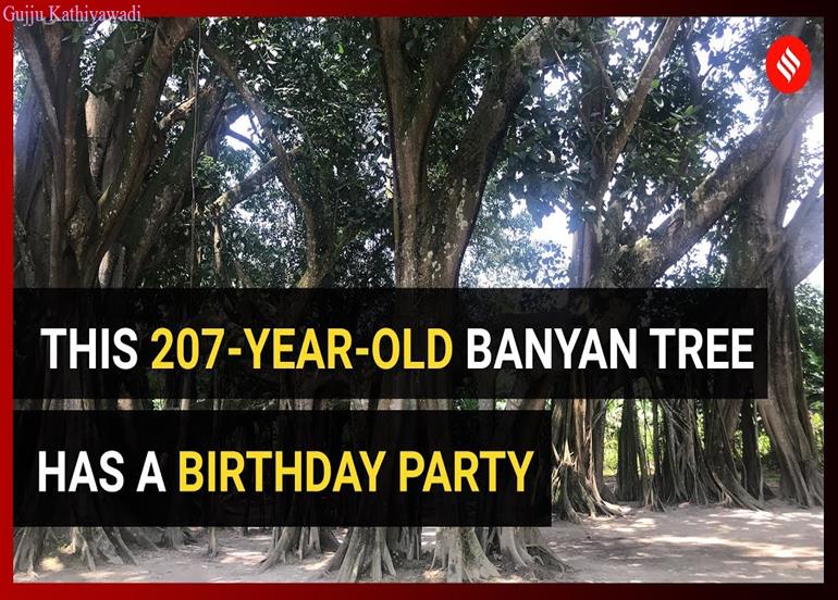 207 साल पुराने पेड़ को बचाने आगे आए ग्रामीण, सरकार का ध्यान खींचने के लिए हर साल मना रहे जन्मदिन