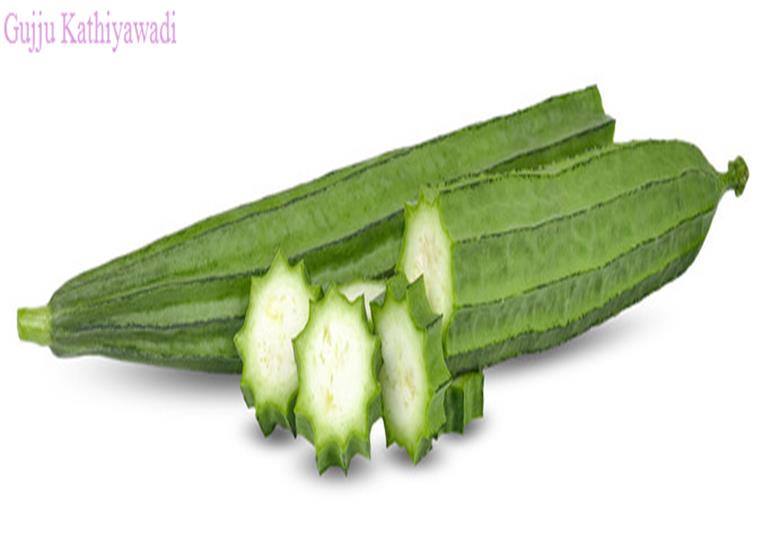 તુરિયા છે આ રોગોની રામબાણ દવા- જાણો આ 8 ફાયદા