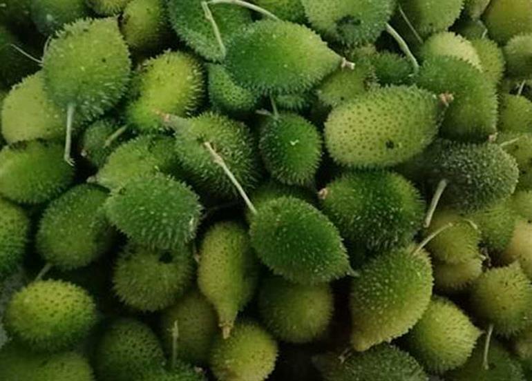 मानसून के मौसम की सबसे ताकतवर सब्जी है ये, खाएंगे तो कभी नहीं होंगी ये गंभीर बीमारियां