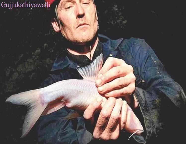 मेघालय में है जमीन के नीचे रहने वाली सबसे बड़ी मछली, 300 फुट नीचे होता है ठिकाना