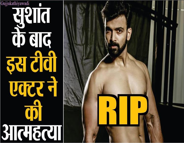 सुशांत के बाद इस एक्‍टर ने की आत्‍महत्‍या, फैंस को लगा सदमा