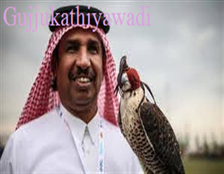 सऊदी अरब, UAE ने पकड़ी पाकिस्‍तान की गर्दन तो अय्याशी के लिए इमरान खान ने भेजे बाज