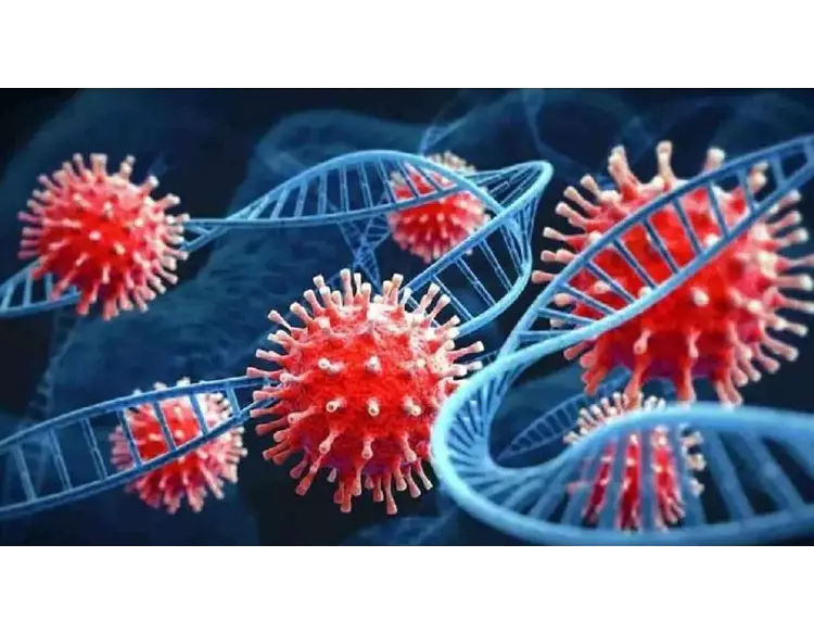 મહેસાણામાં 3 વર્ષના બાળકનું કોરોનાથી મોત