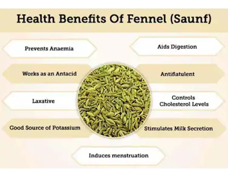 શું બપોરે જમ્યા પછી વરિયાળી અને સાકર ખાવાથી ફાયદા થાય? હા...! તો જાણો તેના ફાયદા...