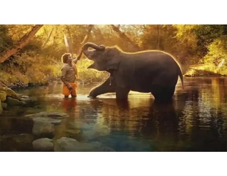 ઓસ્કર્સમાં ભારતનો ડંકો વાગ્યો: 'ધ એલિફન્ટ વ્હિસ્પર્સ' એ ઇતિહાસ રચ્યો