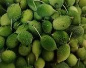 मानसून के मौसम की सबसे ताकतवर सब्जी है ये, खाएंगे तो कभी नहीं होंगी ये गंभीर बीमारियां